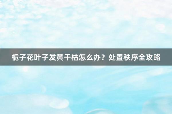 栀子花叶子发黄干枯怎么办？处置秩序全攻略
