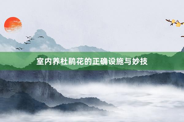 室内养杜鹃花的正确设施与妙技