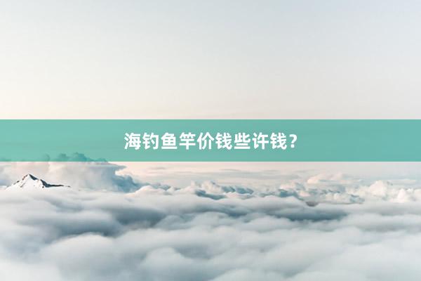 海钓鱼竿价钱些许钱？