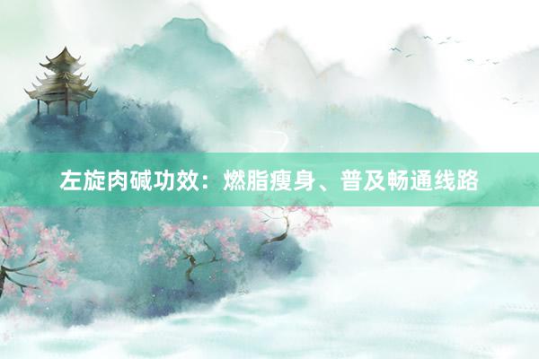 左旋肉碱功效：燃脂瘦身、普及畅通线路