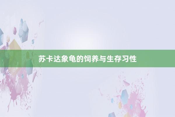苏卡达象龟的饲养与生存习性
