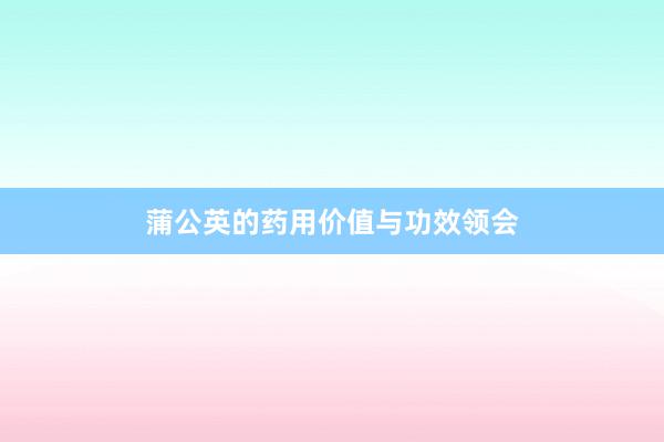 蒲公英的药用价值与功效领会