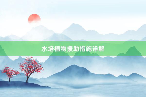 水培植物援助措施详解