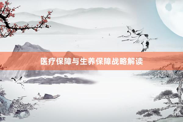 医疗保障与生养保障战略解读