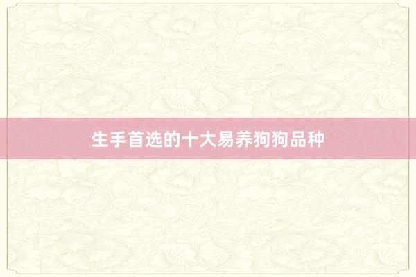 生手首选的十大易养狗狗品种