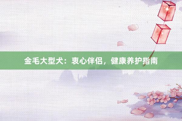 金毛大型犬：衷心伴侣，健康养护指南