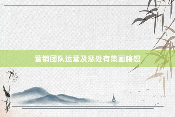 营销团队运营及惩处有策画瞎想